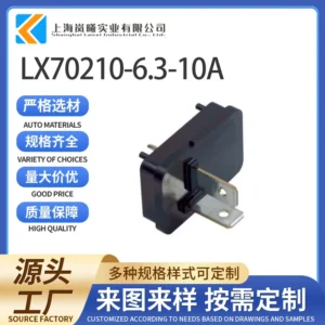 LX70210-6.3-10A