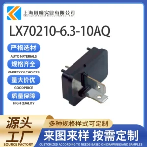 LX70210-6.3-10AQ（79817）