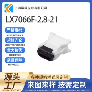 LX7066F-2.8-21