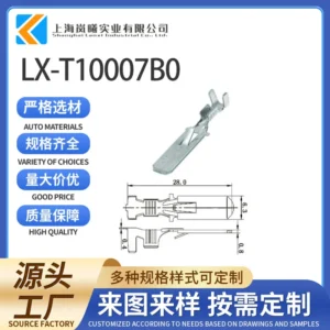 LX-T10007B0