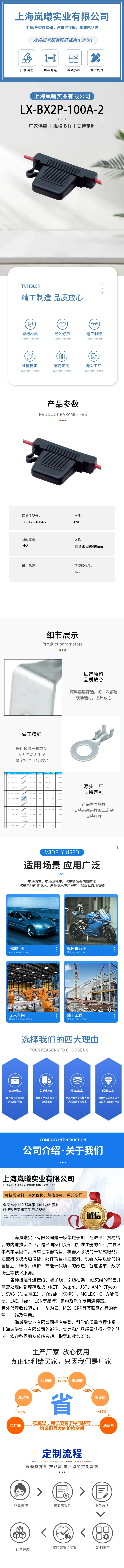 LX-BX2P-100A-2 — product specifications